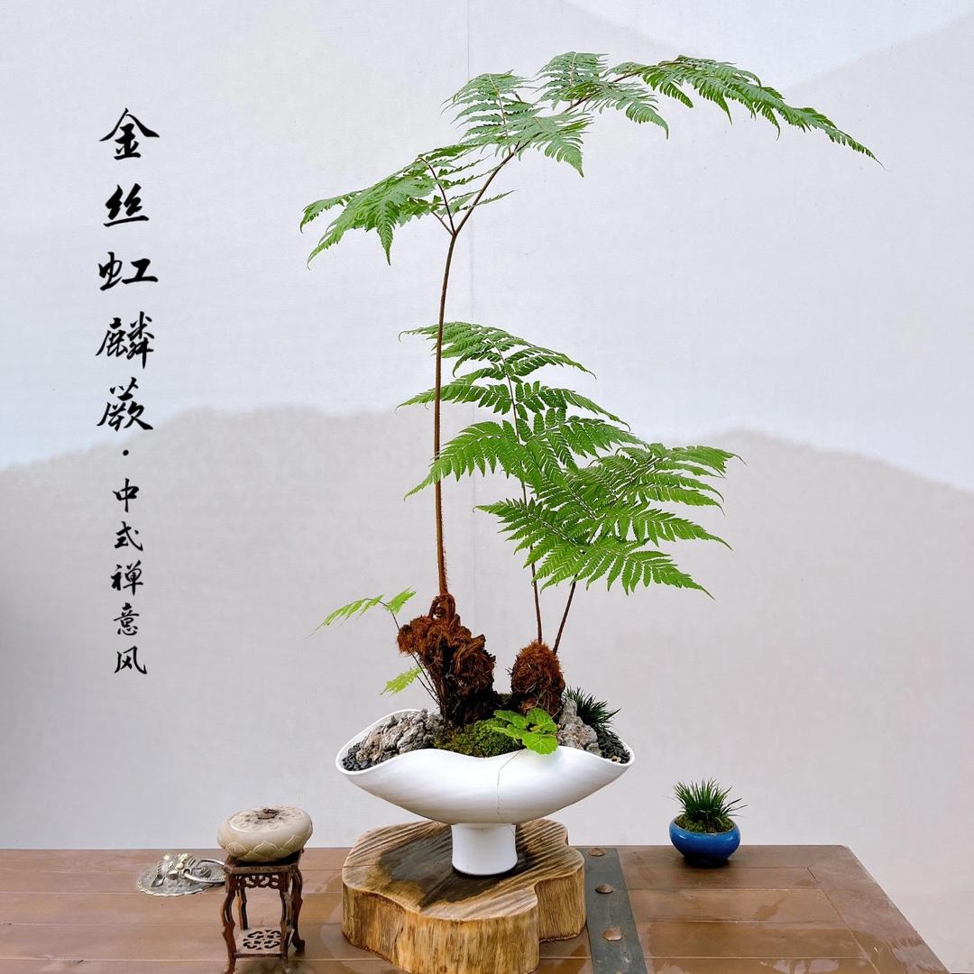 蕨吾仅友园艺场