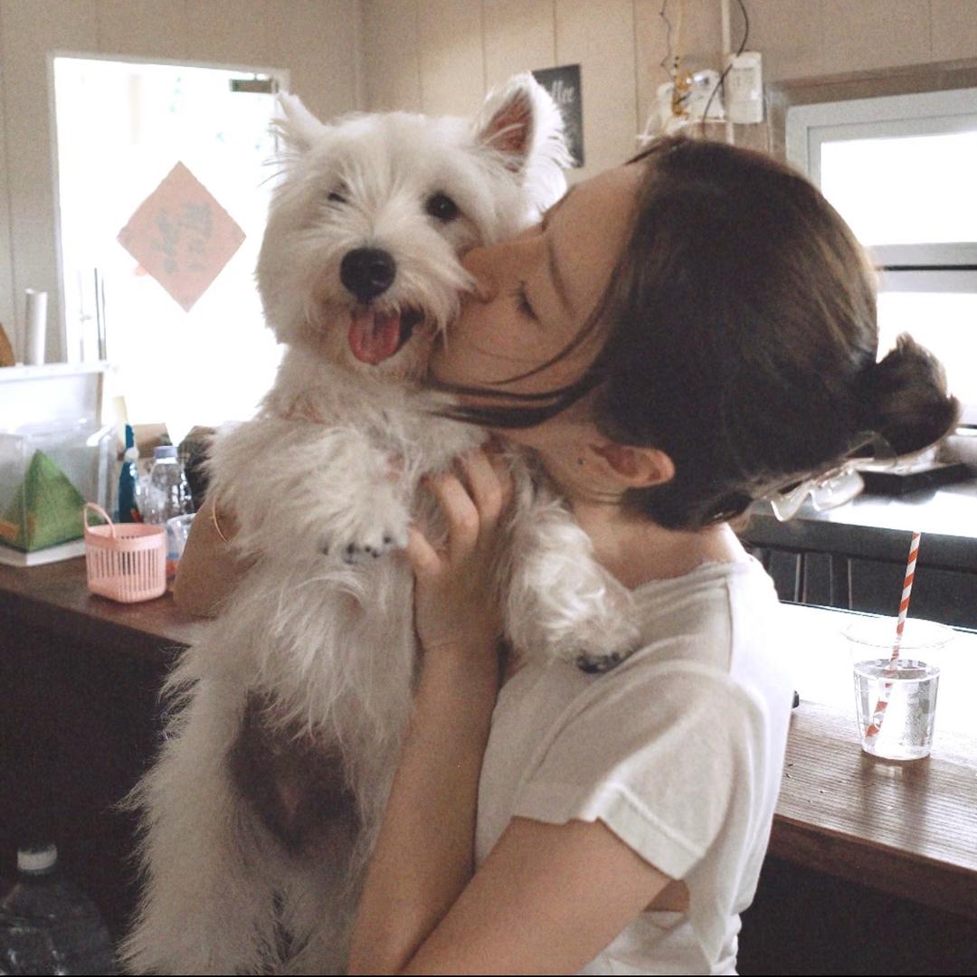 顺顺砾砾
