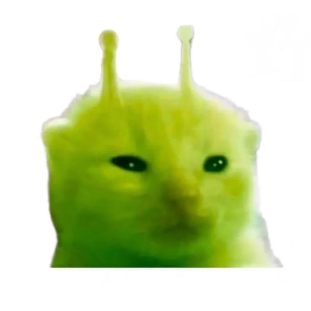 小耳