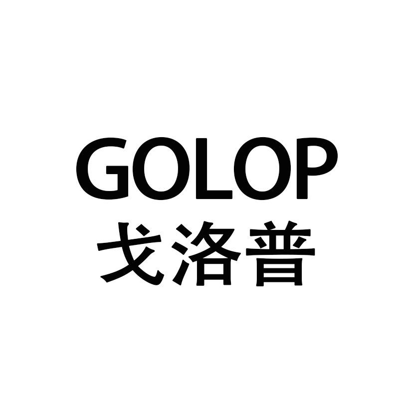 戈洛普男装旗舰店