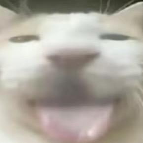 XXXTENLIANG.
