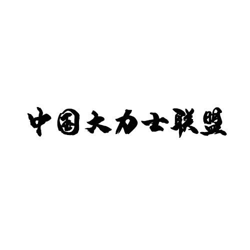 POWER DRAGON运动健身旗舰店
