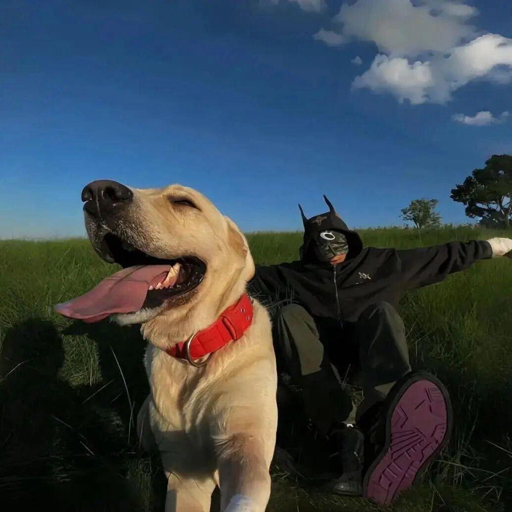 三次拒绝赵露思