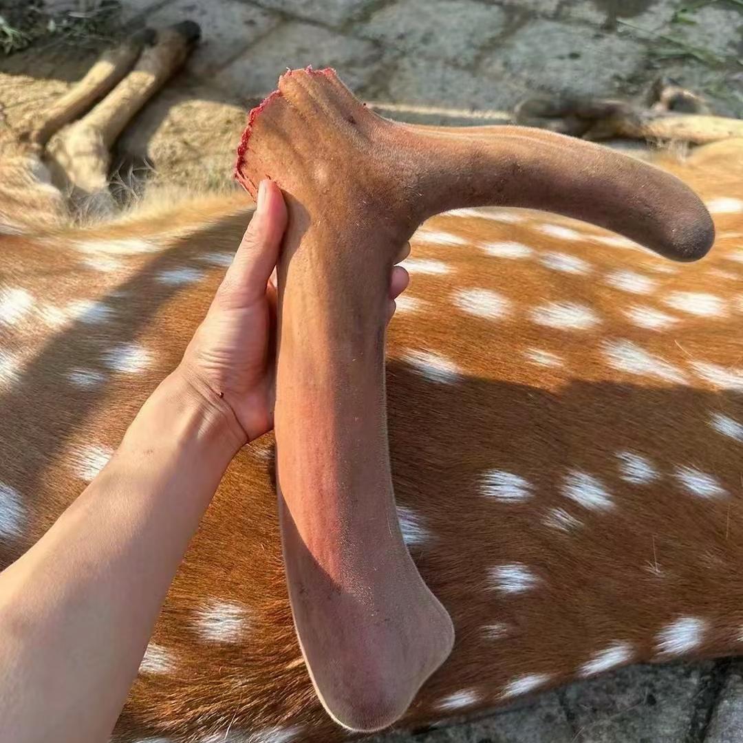 111