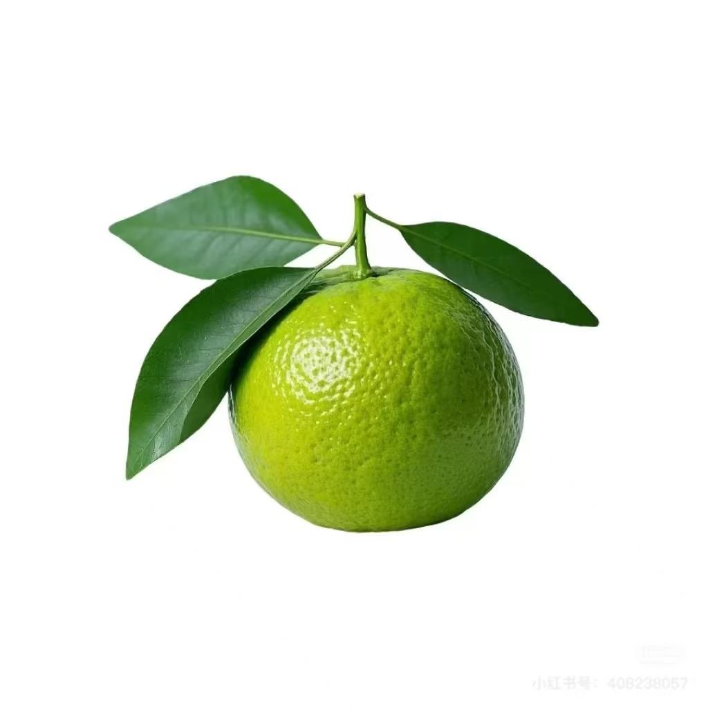 坦培拉