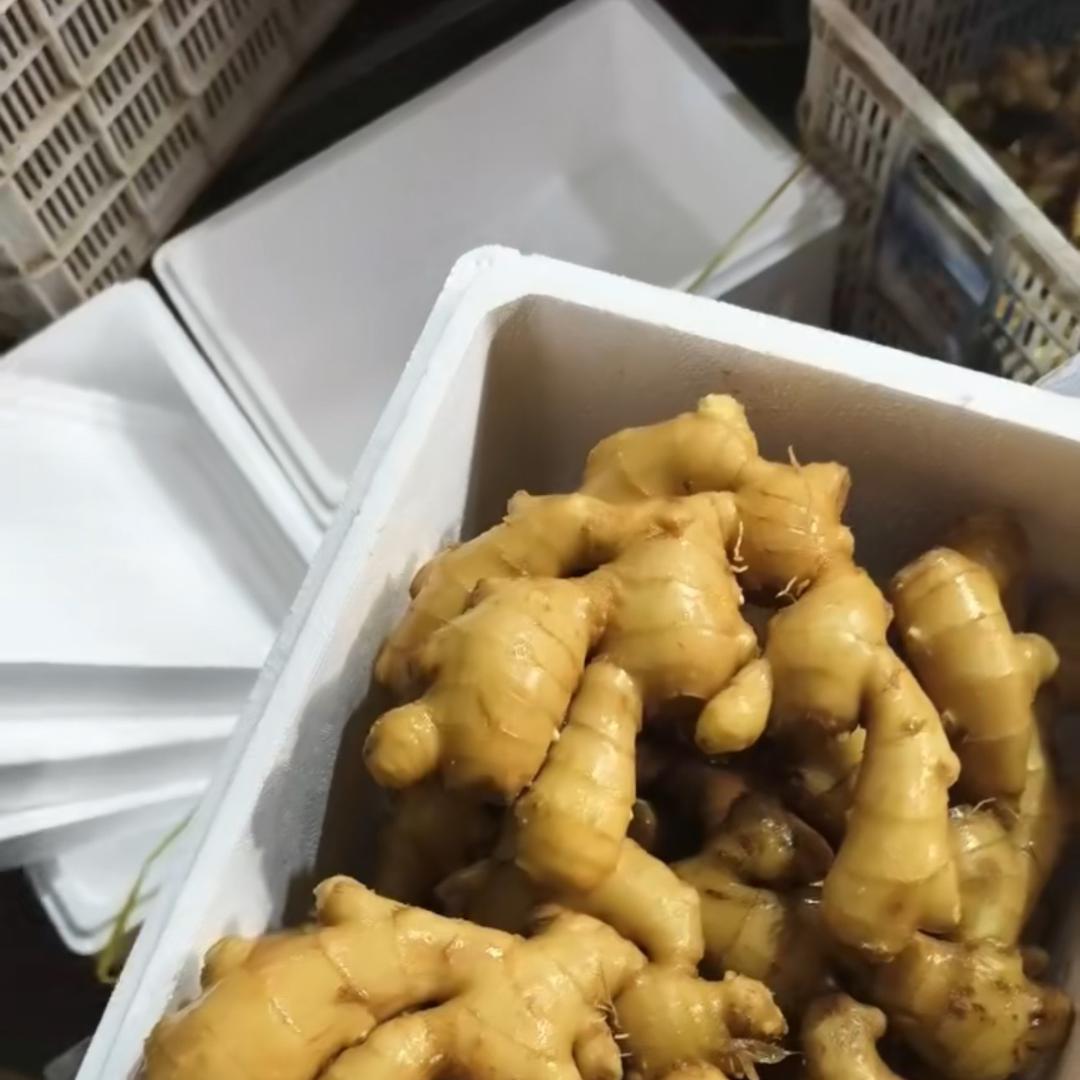 益林生姜-大姜产地批发