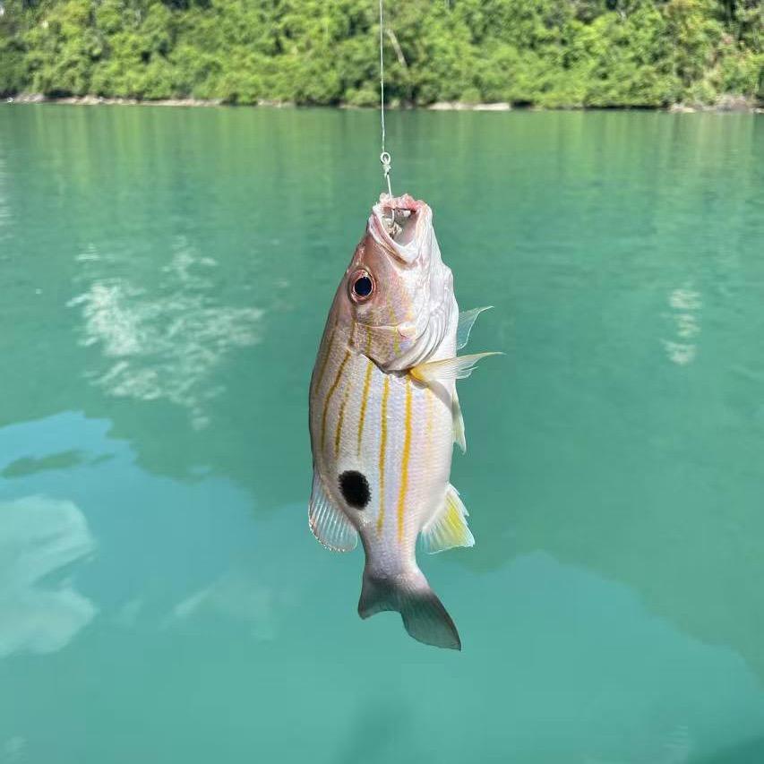 䨲㒾鐦鋀䊖