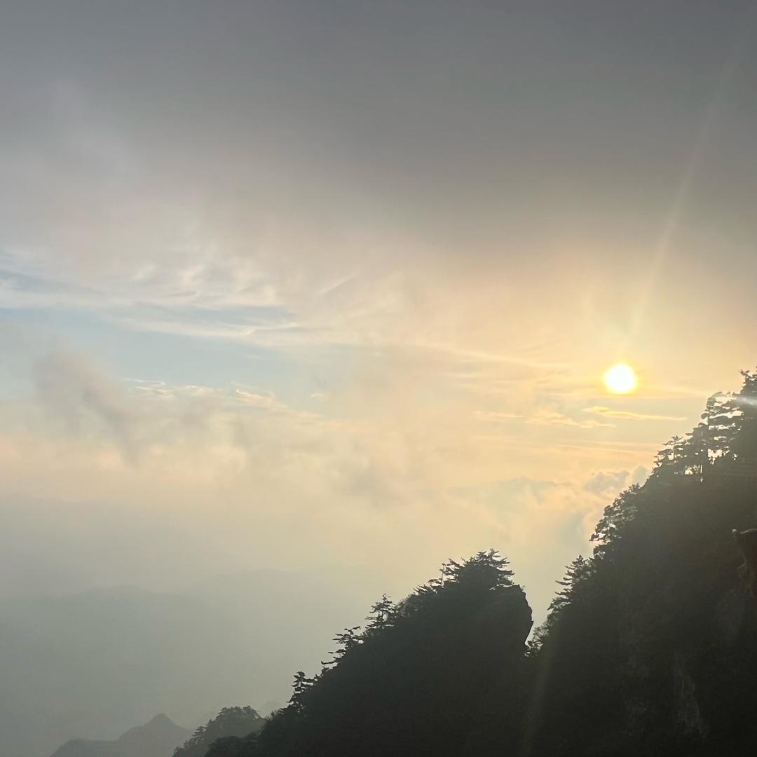 果冻