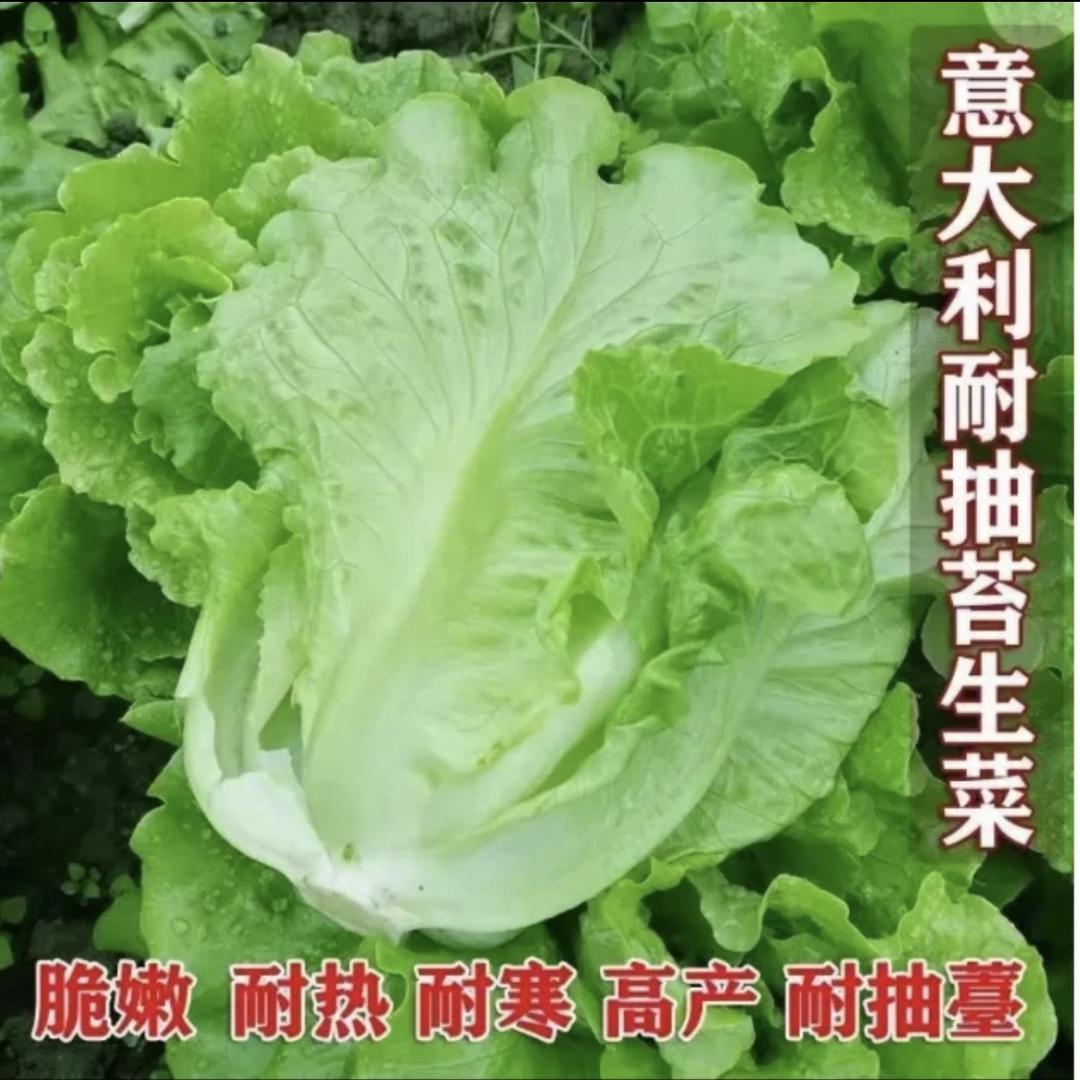 丰登种业2号店