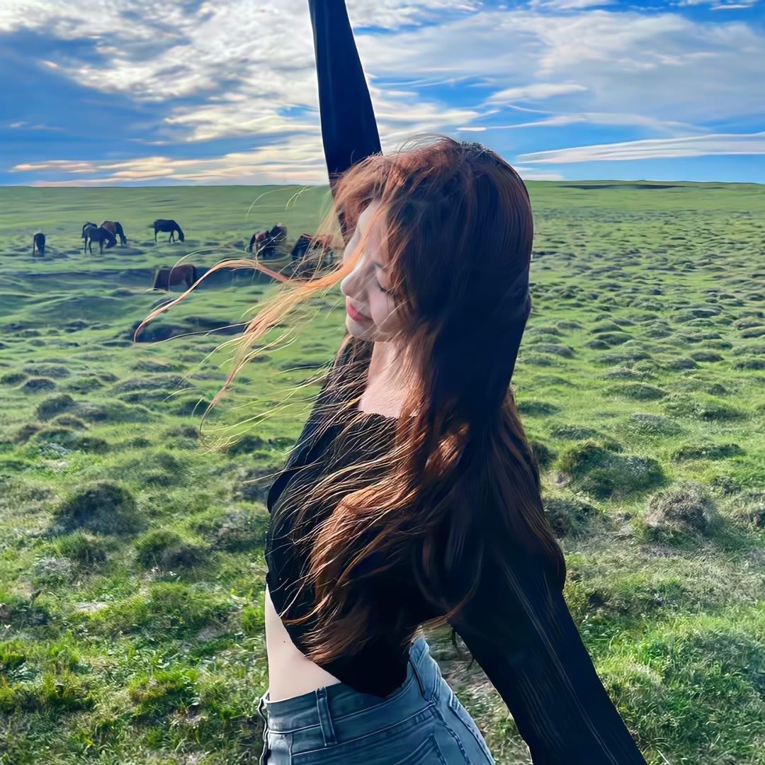 不打🐑的猫🖼