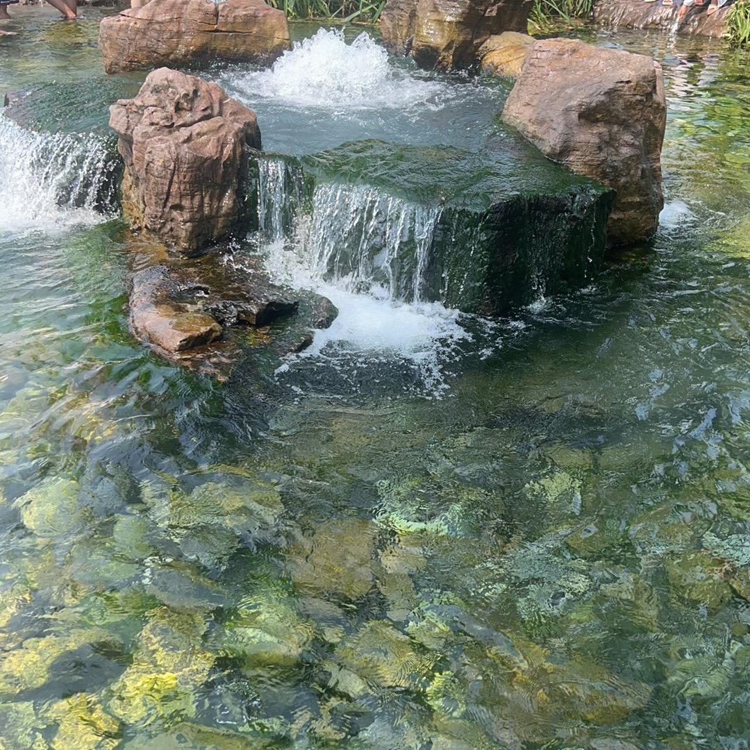 静心