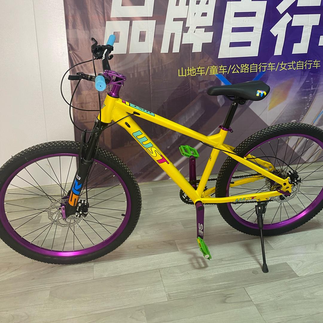 高品质优选自行车