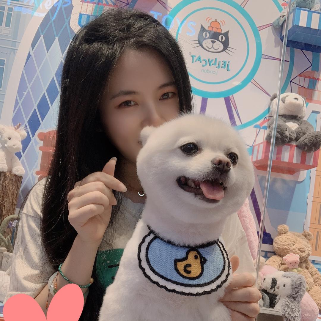 王子是汪不是喵🐶