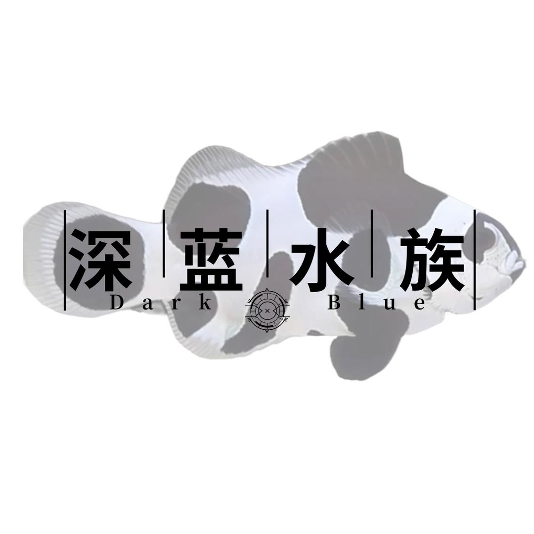 💎养🐷大户💎