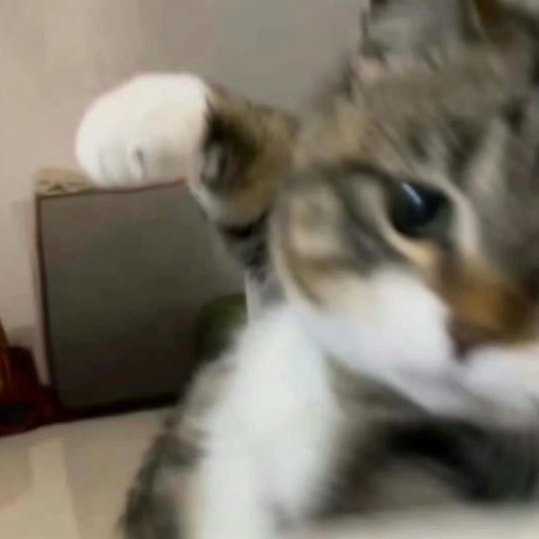 小七
