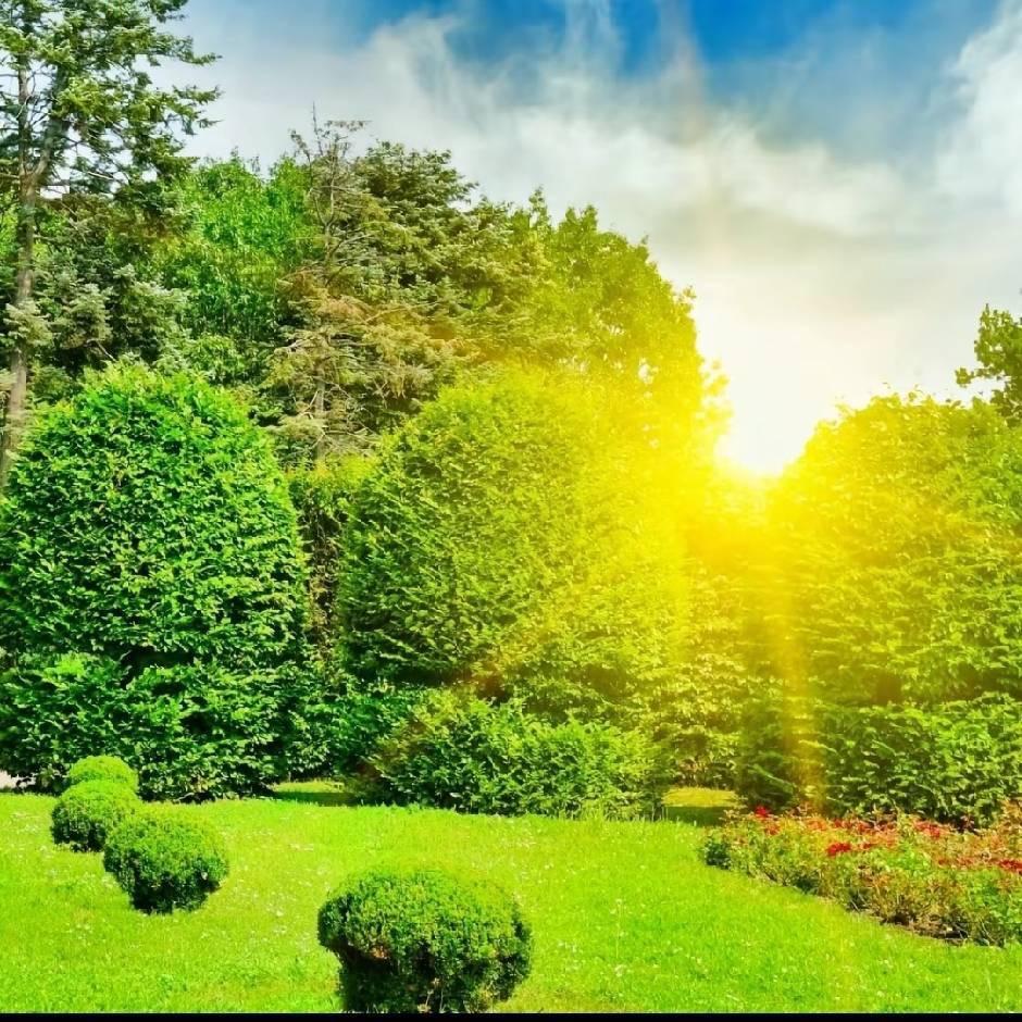 寿光普威种子邵建玲