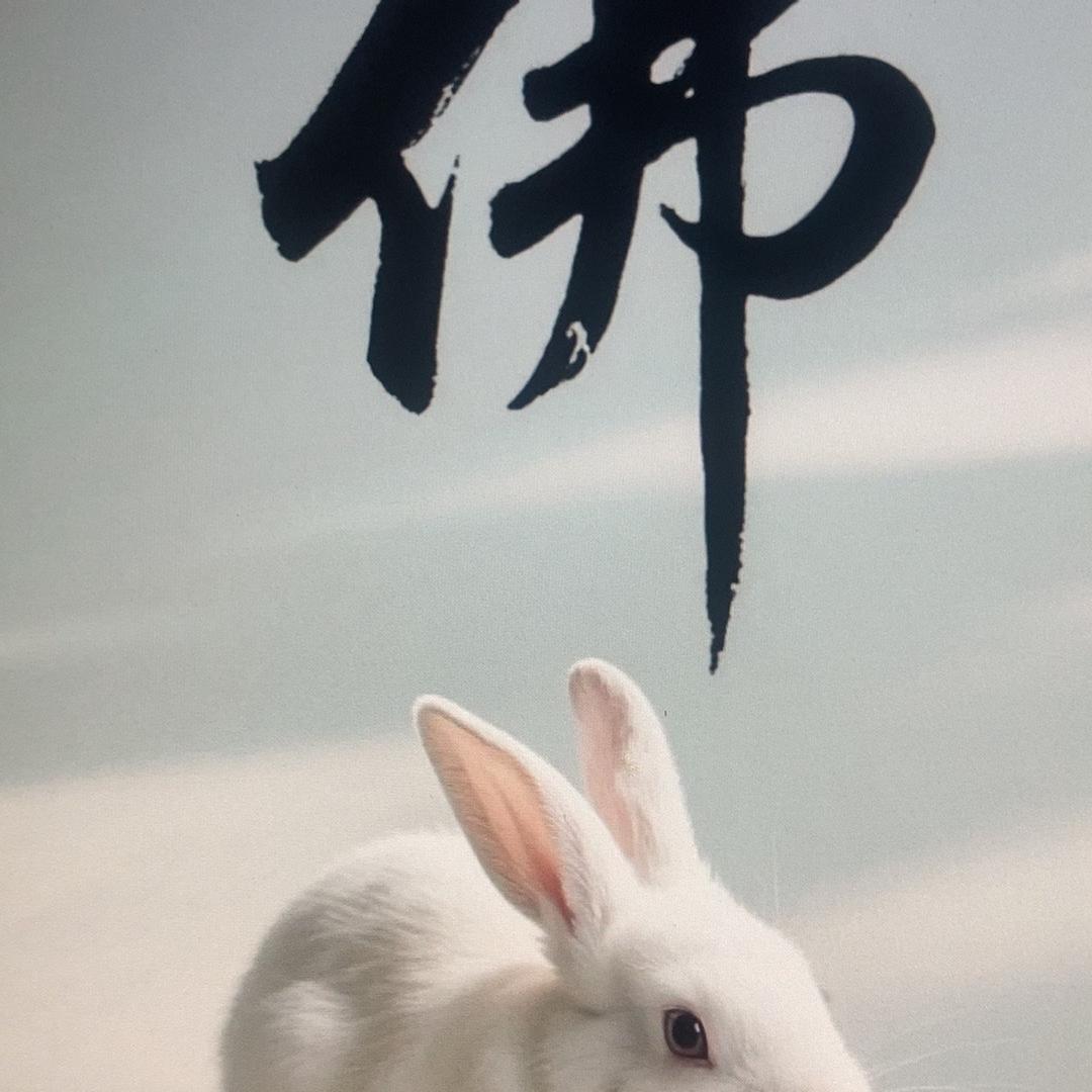 朝阳区哇沁百货店