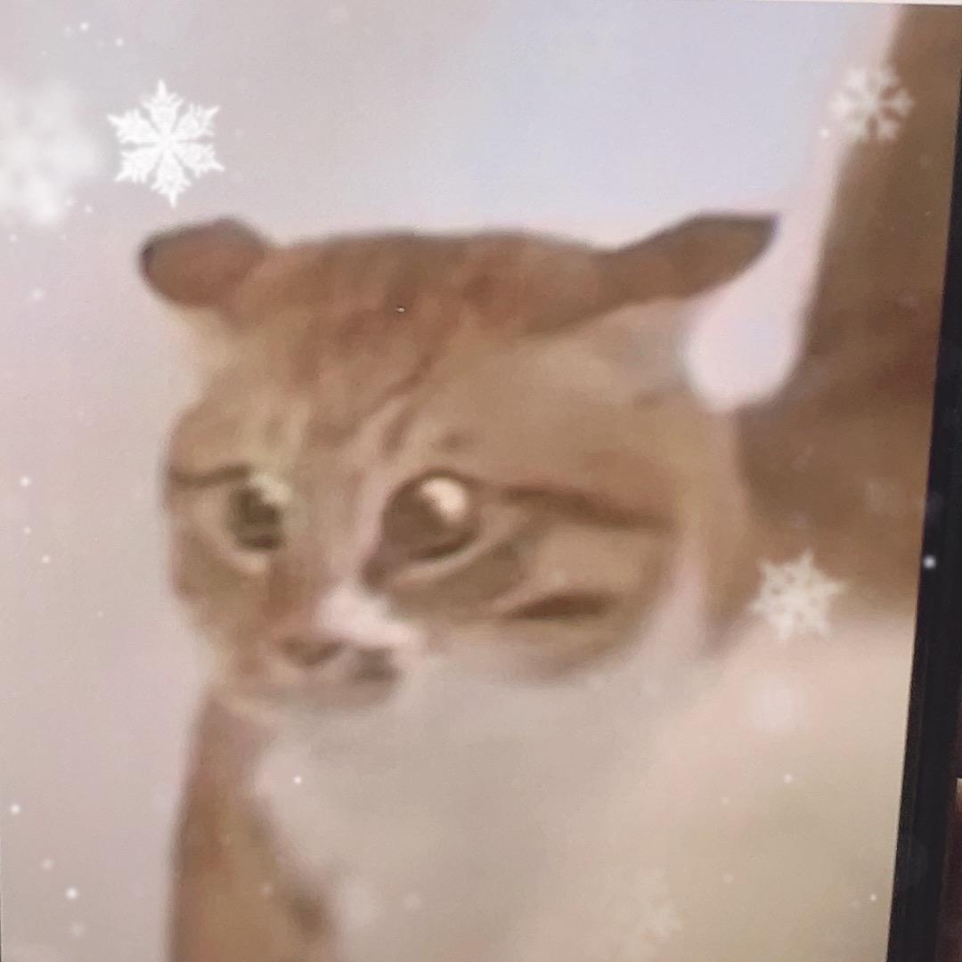 史鑫鹏