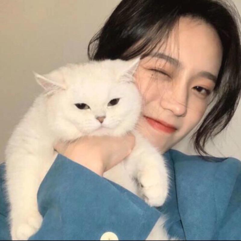 Ki Xin、