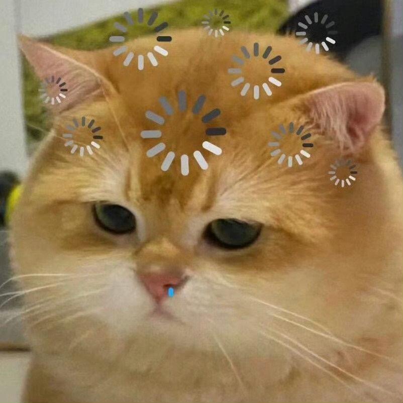 小佩孩日记