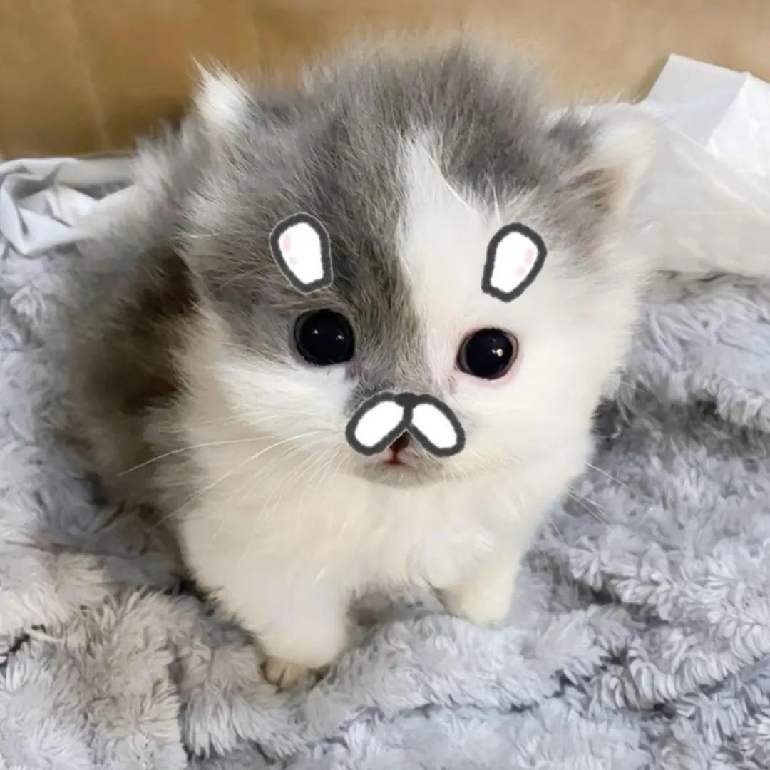 二月二十七日