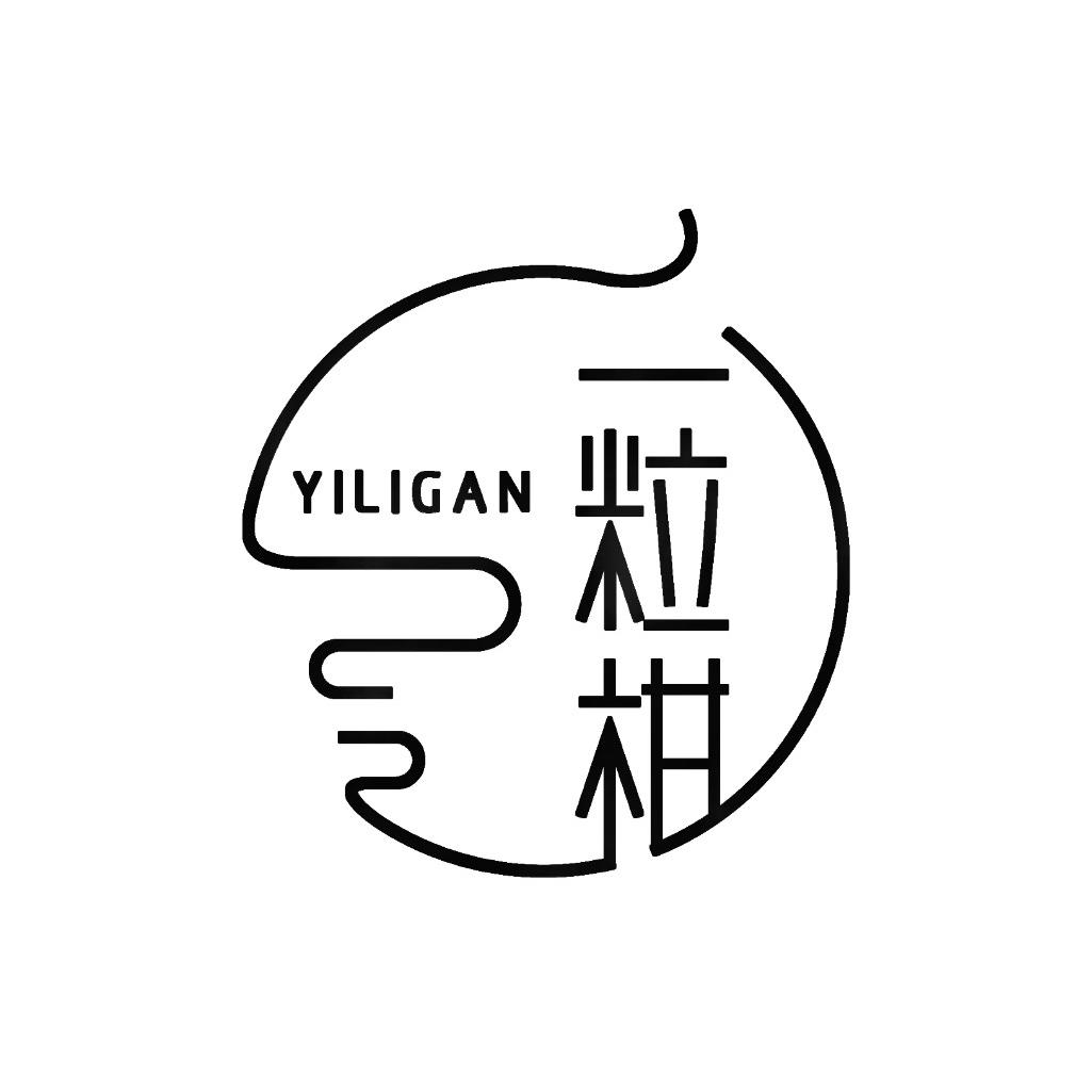 一粒柑新会陈皮