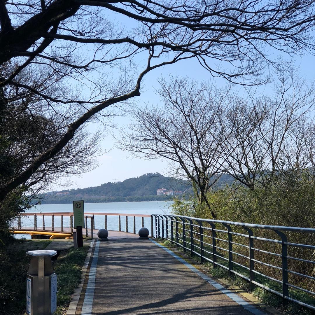 微风吹过的夏天