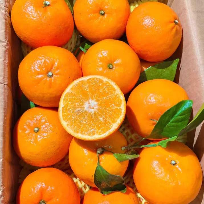 特产馆广西特产