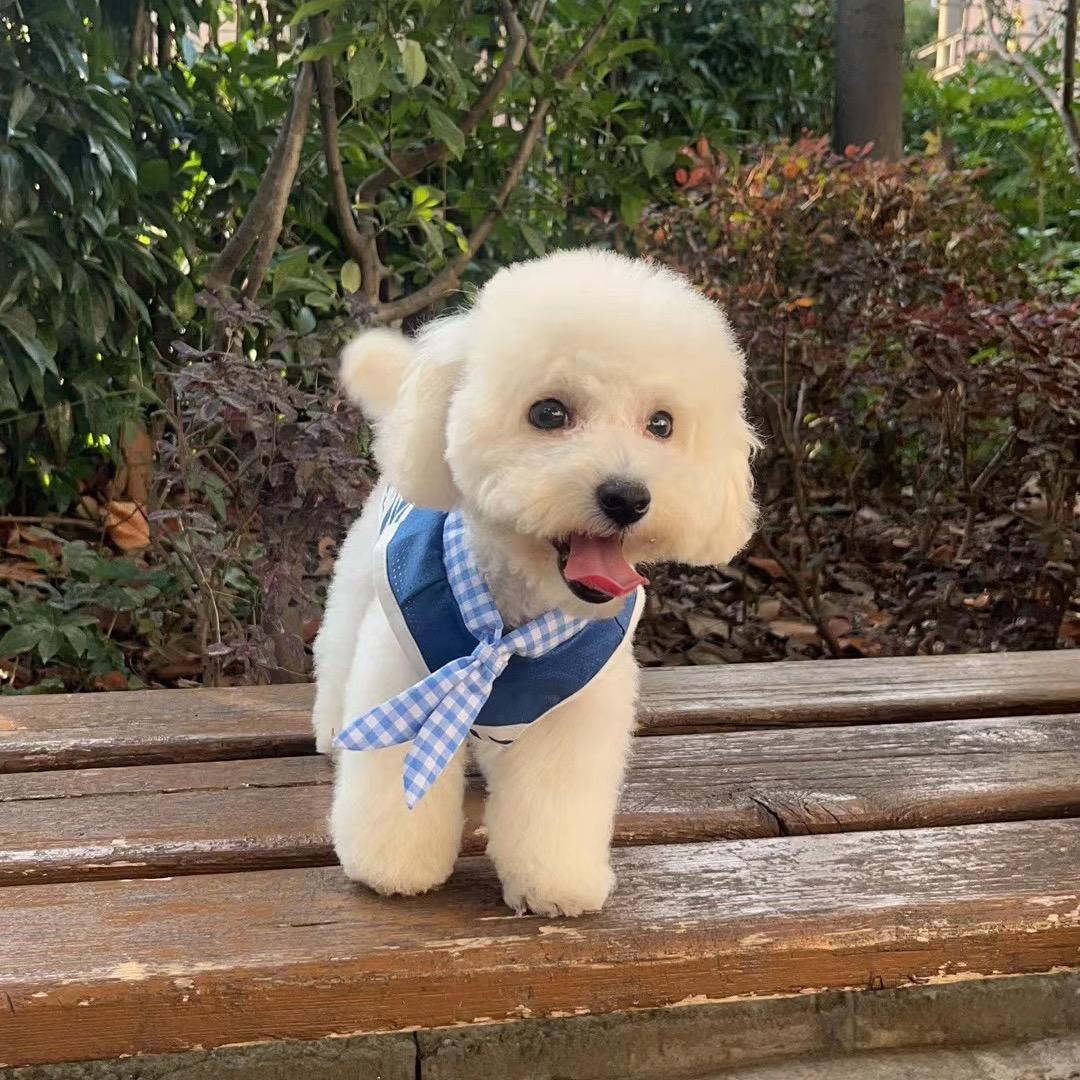 菩提(砥砺前行）