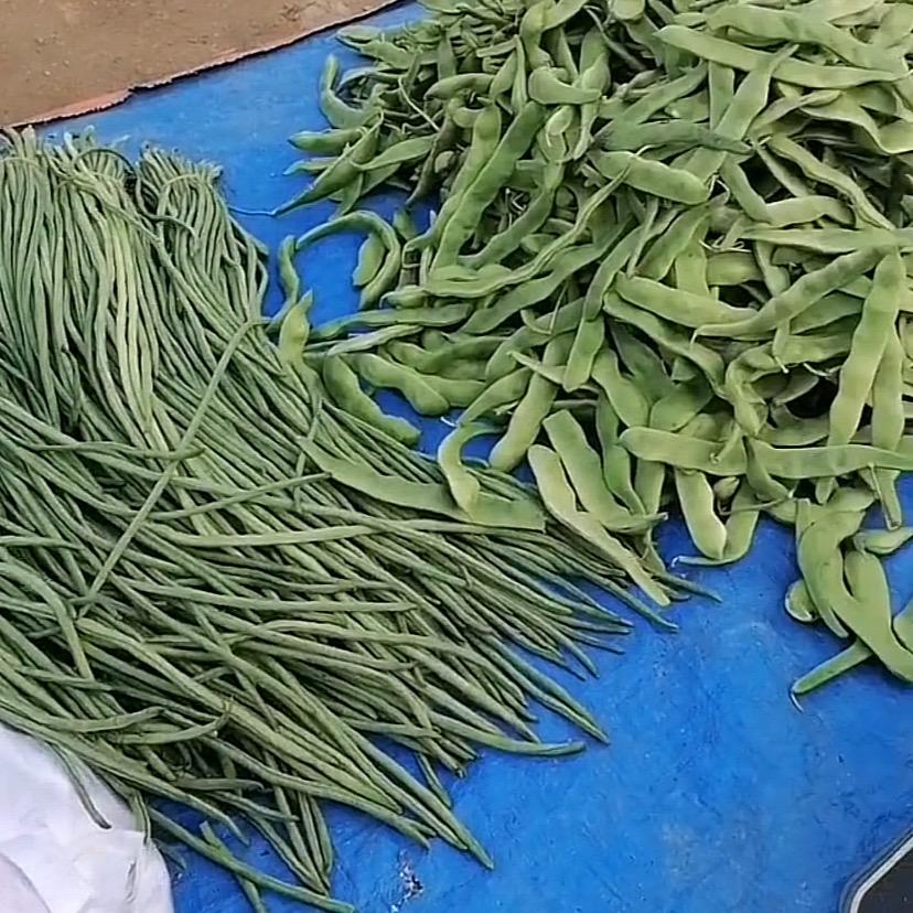 刘个关注