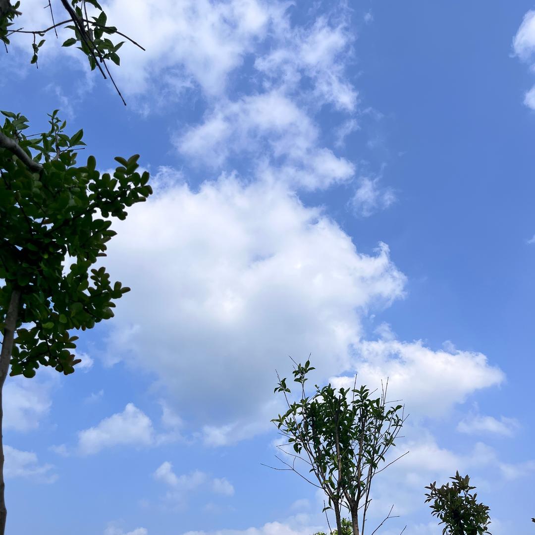 想住在红果一辈子～头像