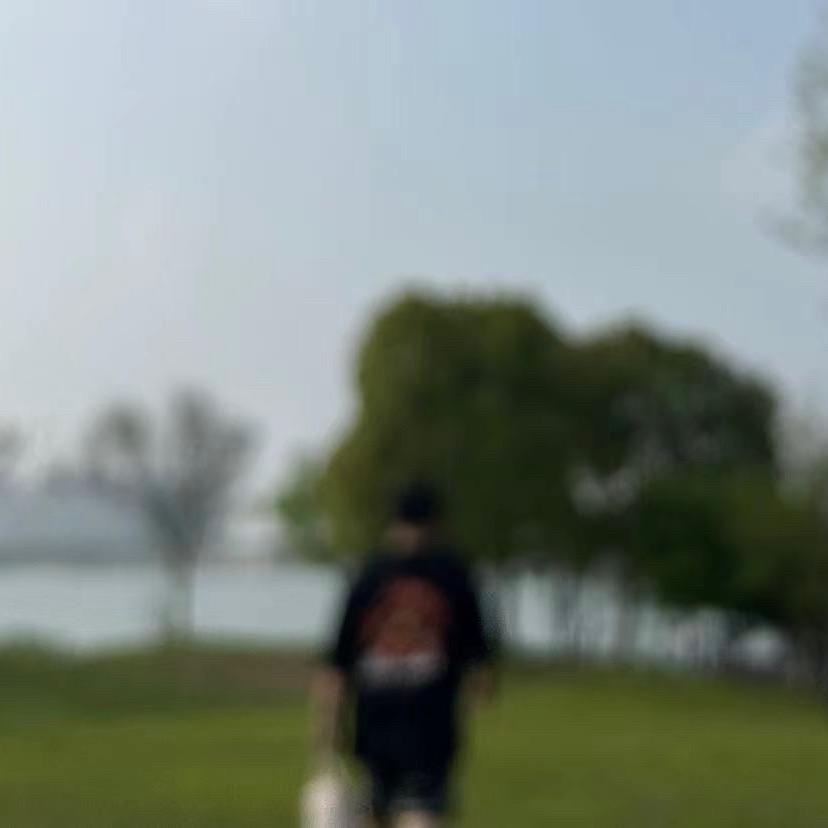 诺