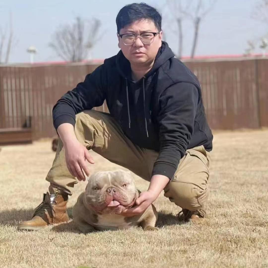 恶霸犬不是恶霸