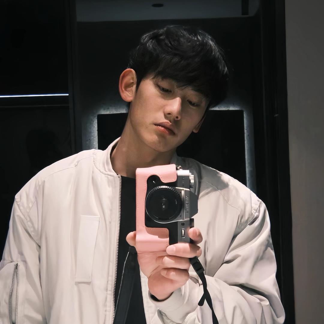 Bing狗