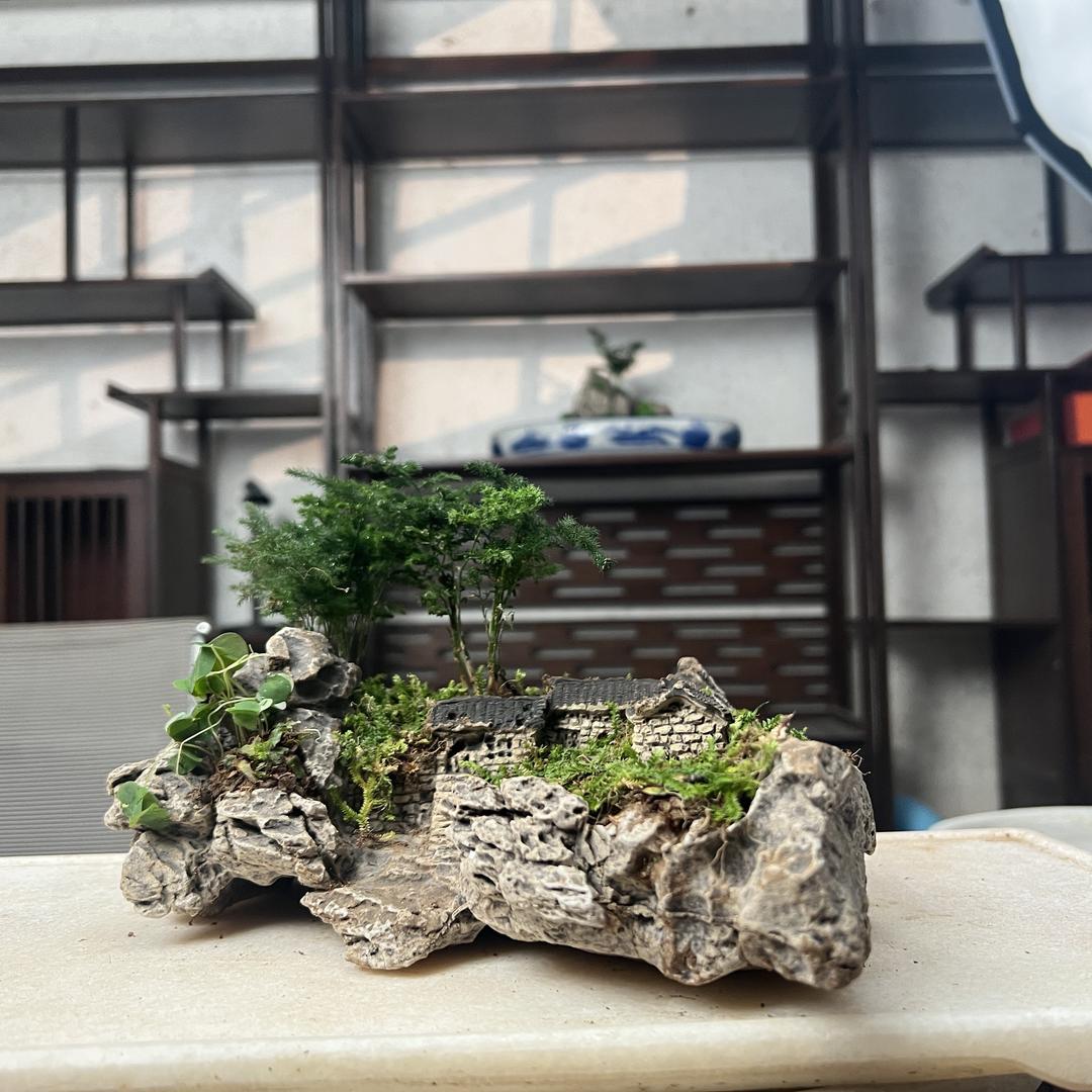 抖尚假山盆景绿植花卉