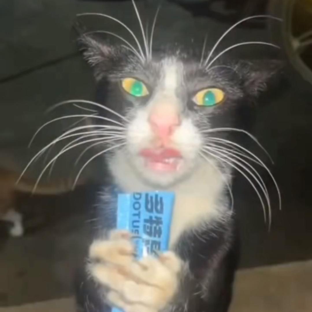 兇手是我。（黑化中）