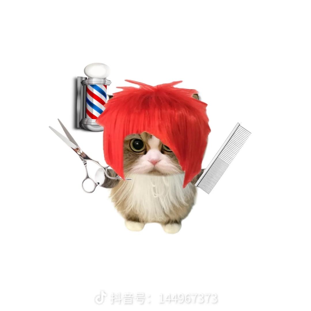 云肆造型