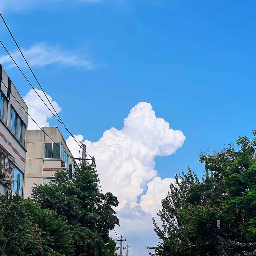 筝筝纸鸢真好喝