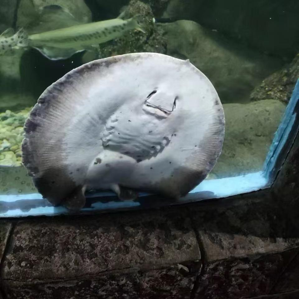 ^人心可畏^