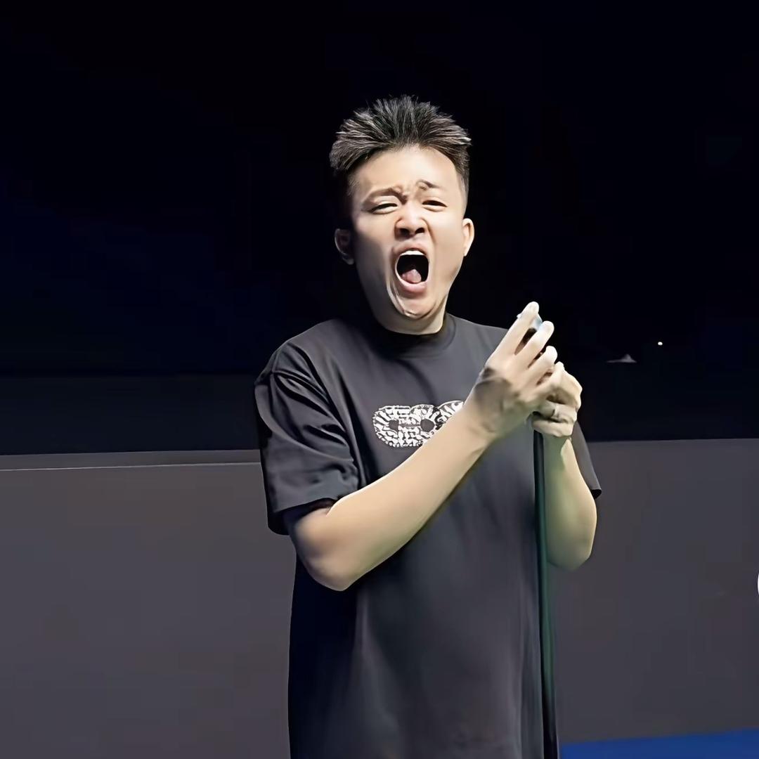 12档台球圈🎱