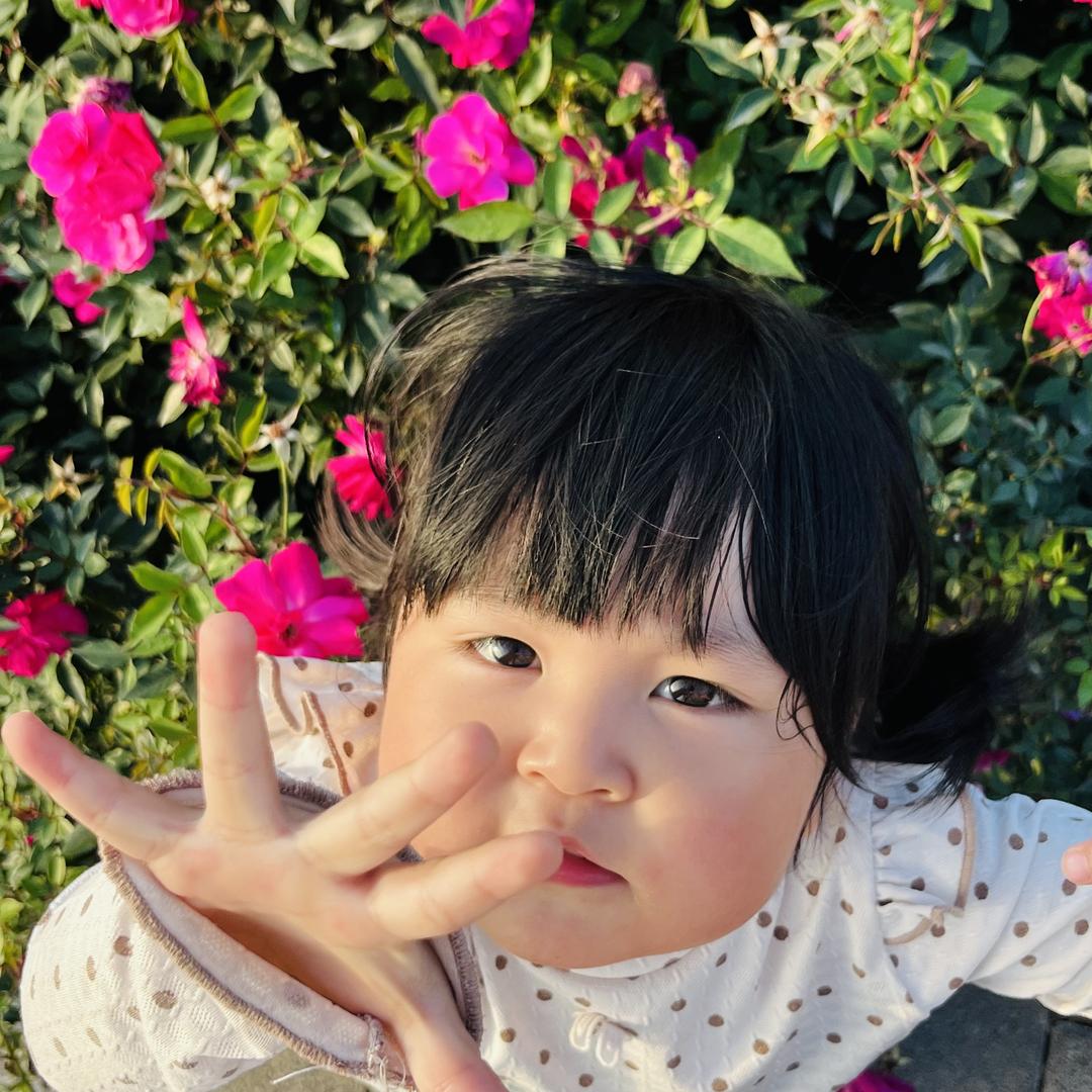小小趴菜