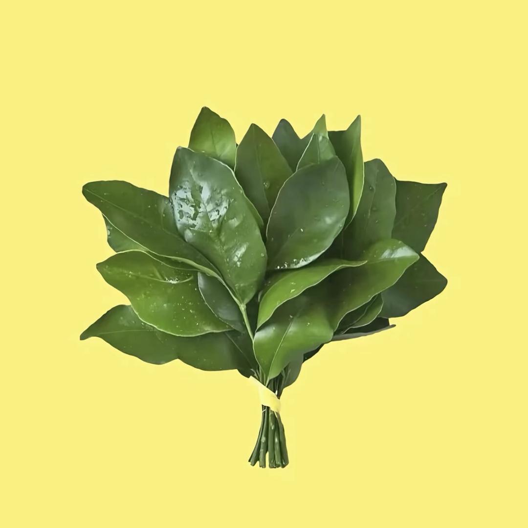 小程呀