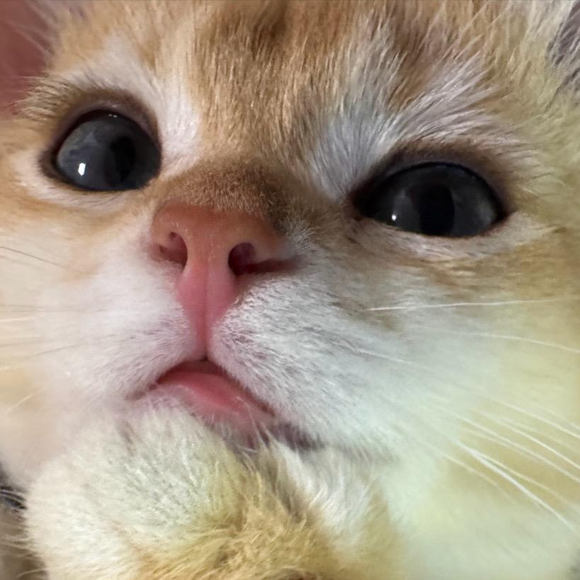小miu