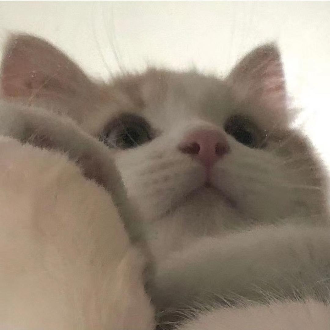 小彤