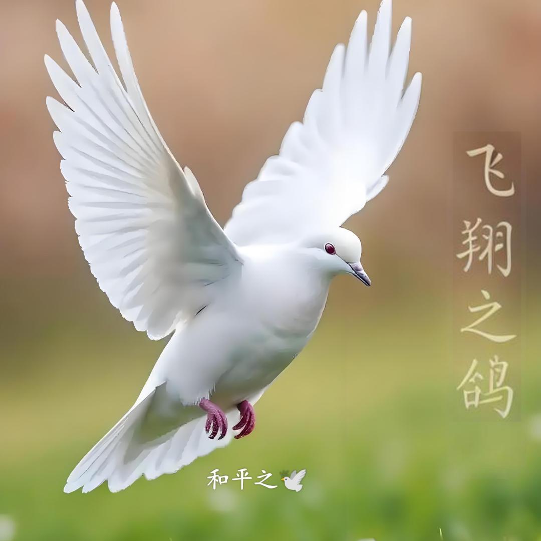 海口龙华芯佳熙创意百货屋