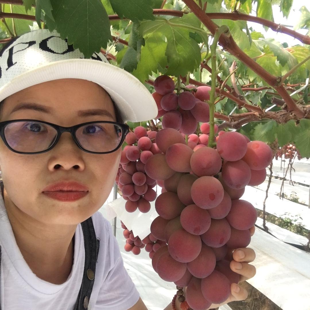 雨潇潇葡萄
