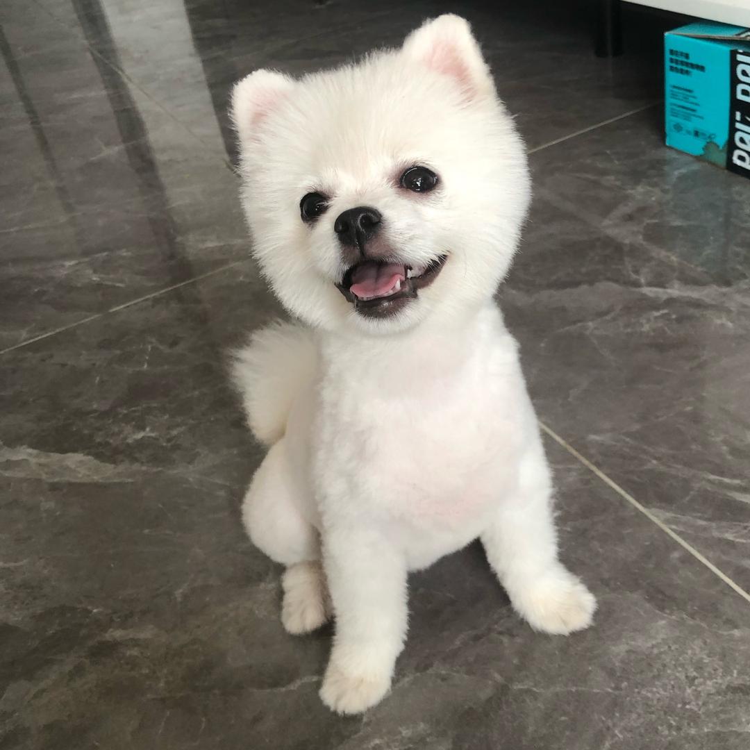 🌹浅笑❤️人生🌹