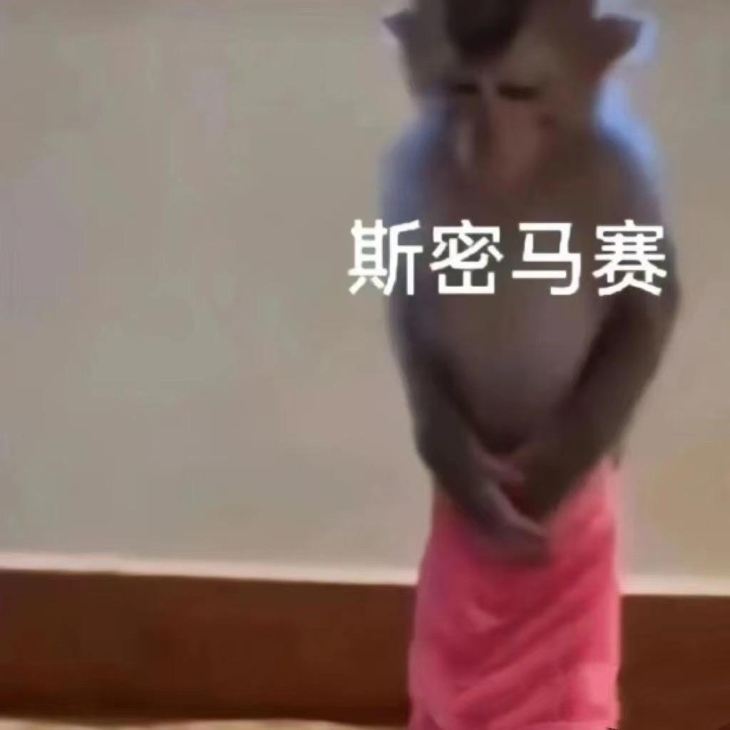 苦命马喽在广东