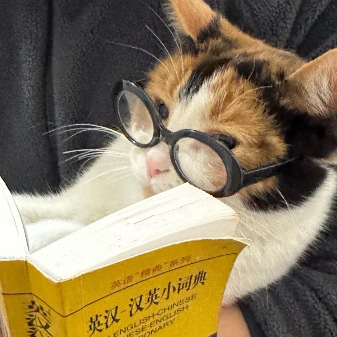 炸爛全國電信商