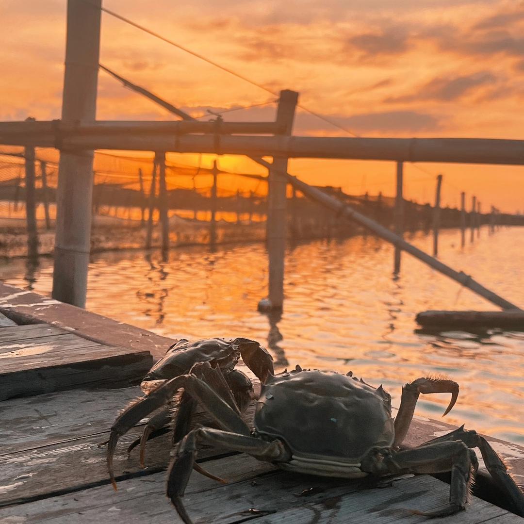 塘小满生鲜闪送直达